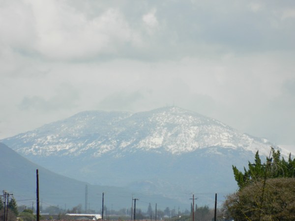 Snow on the Mountain Across the Street