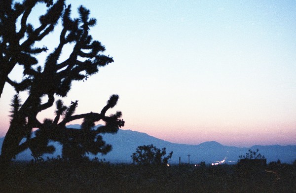 Dawn on a Desert Highway