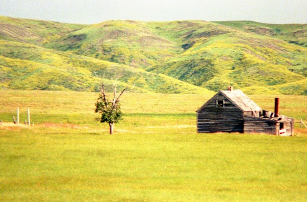 Abandoned Cabin, South Dakota