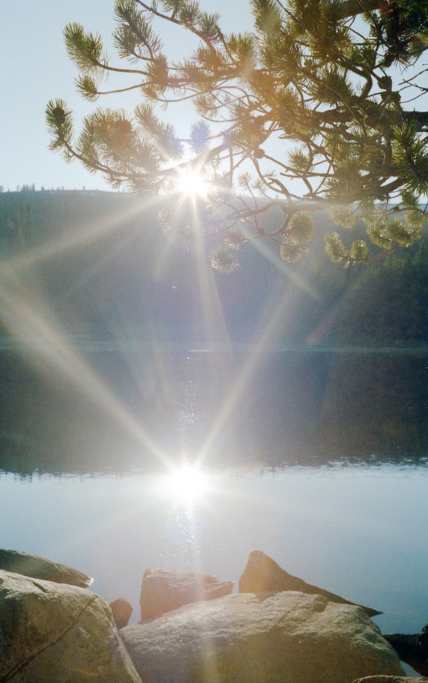 Sunset On a Mountain Lake With Pine Branch