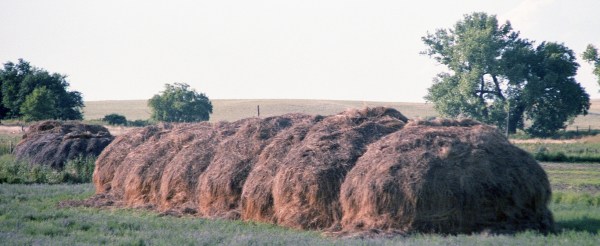 Hay Stacks
