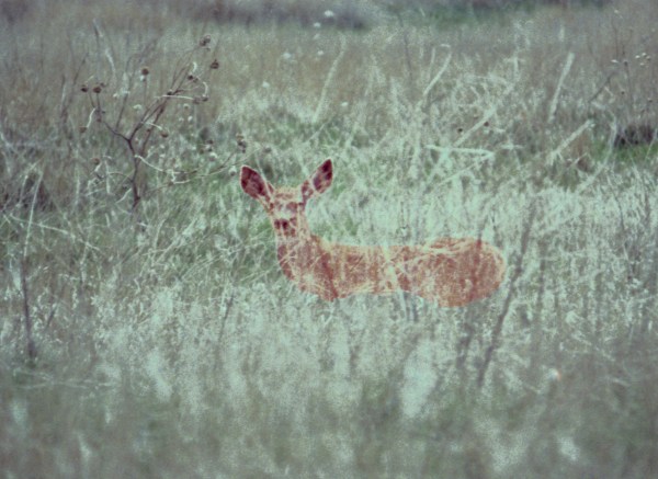 Time Spent on Reconnaissance is Seldom Wasted