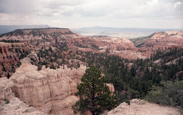 Canyon landscape