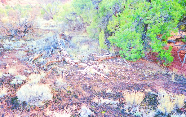 Light Traces of Snow