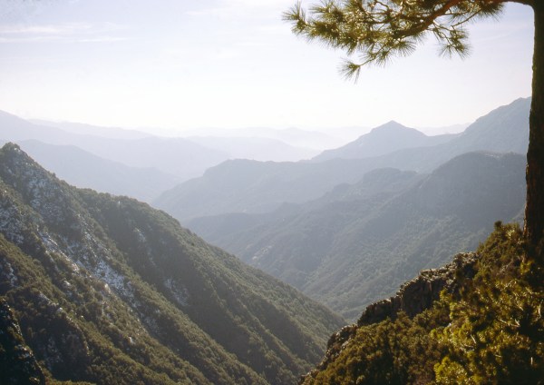Valley in the San Bernadino Mountains