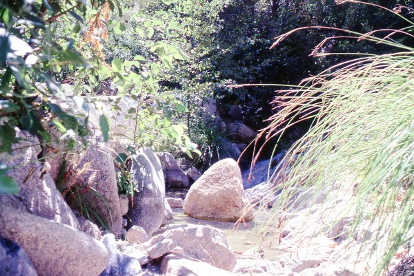 Dry Creekbed