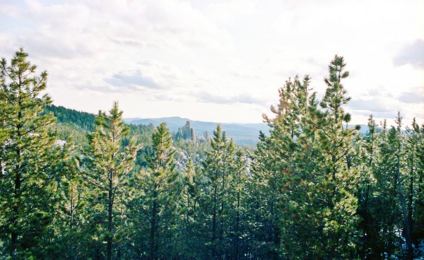 Black Hills: the Needles, properly cropped.
