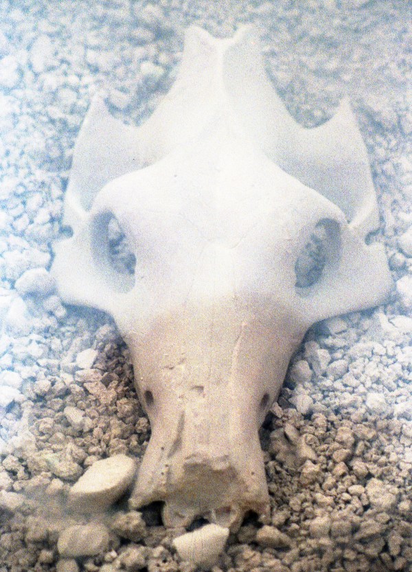 Not Feeling Too Good Today