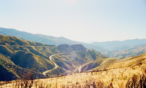 Burnt Landscape, San Bernadino Mountains